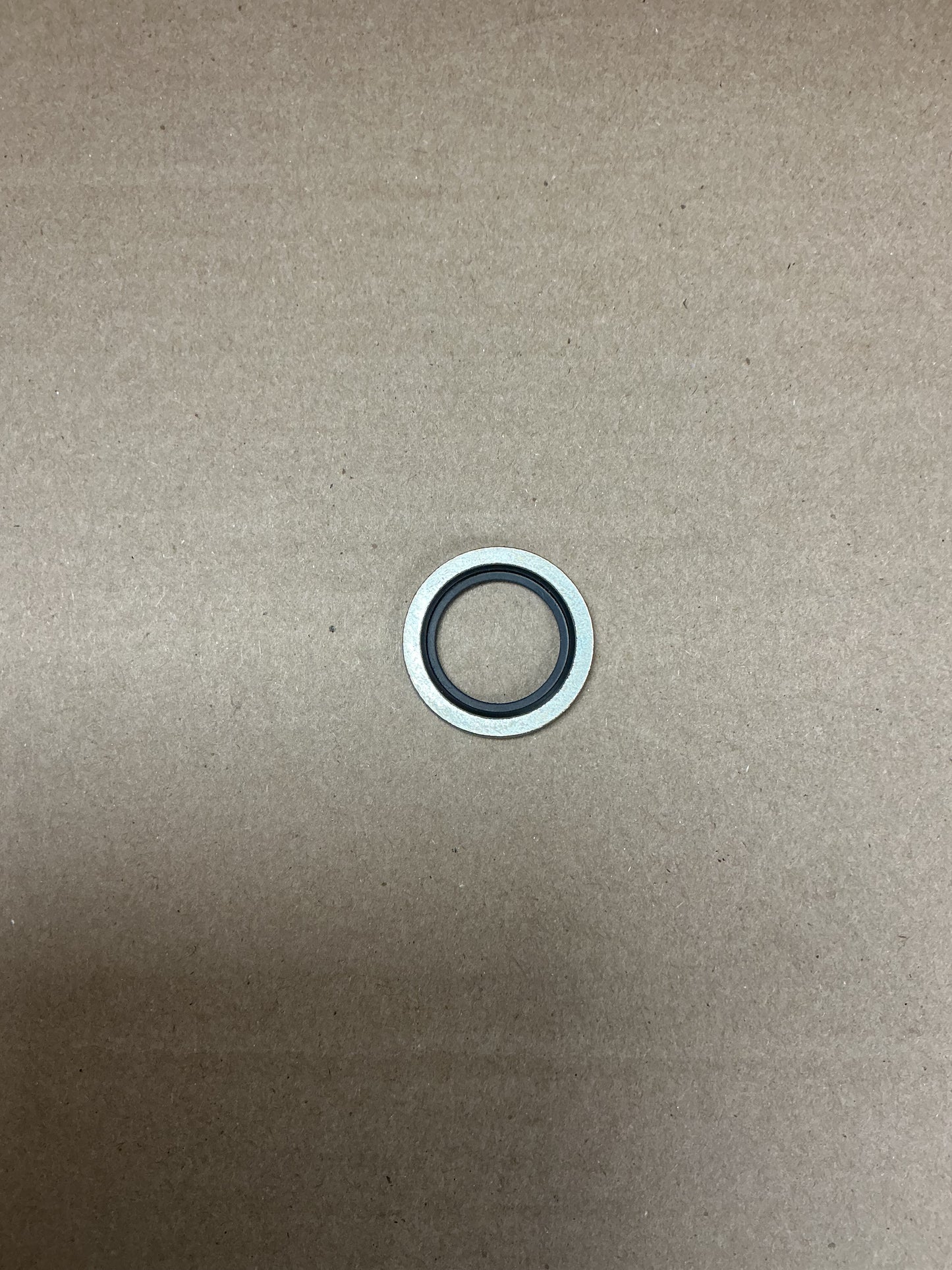 0661100039 Seal washer