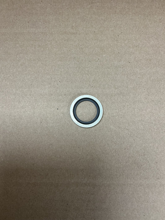 0661100039 Seal washer