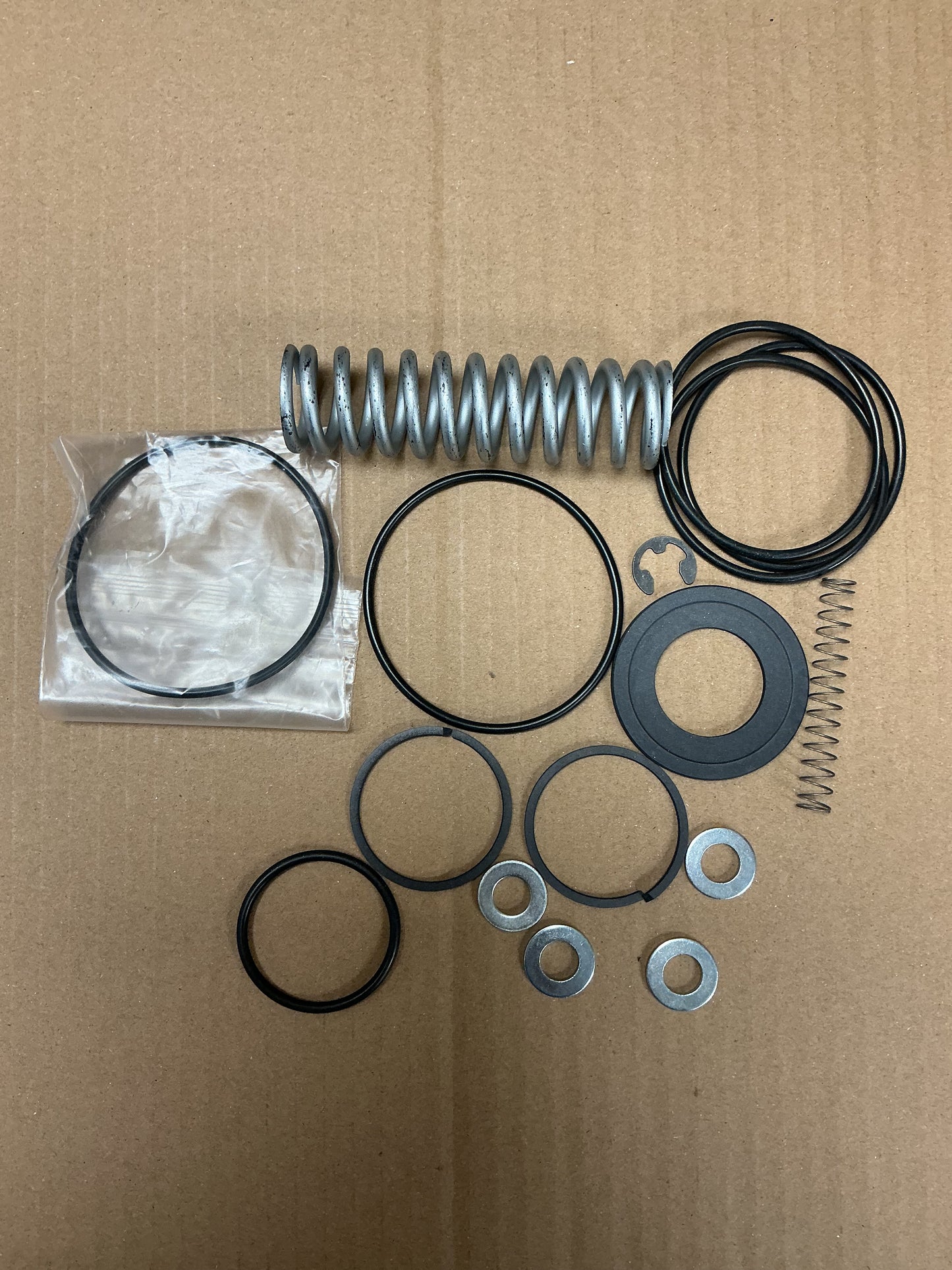 2901021800 Minimum pressure check valve repair kit