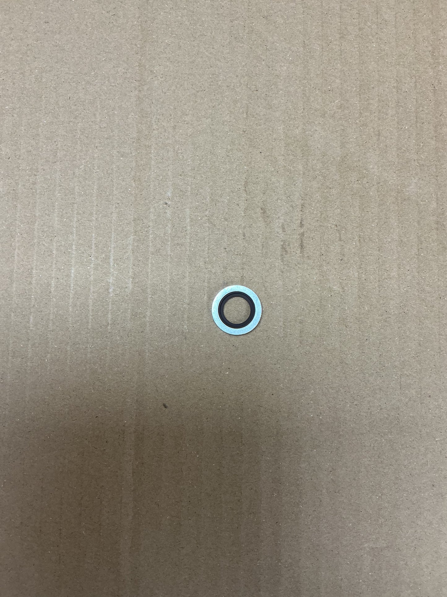 0661100038 Washer